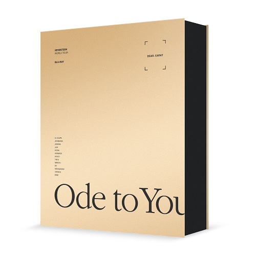 SEVENTEEN セブチ ライブ dvd ソウルコン Ode to You - K-POP/アジア