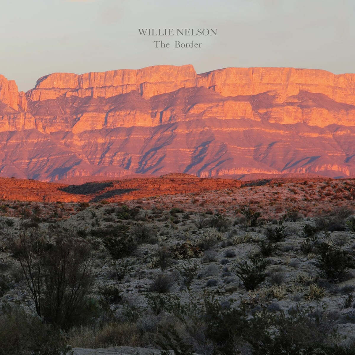 WILLIE NELSON) - THE BORDER [수입] [LP/VINYL] 